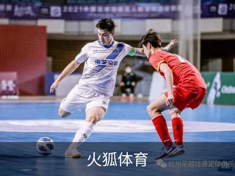 关于火狐体育